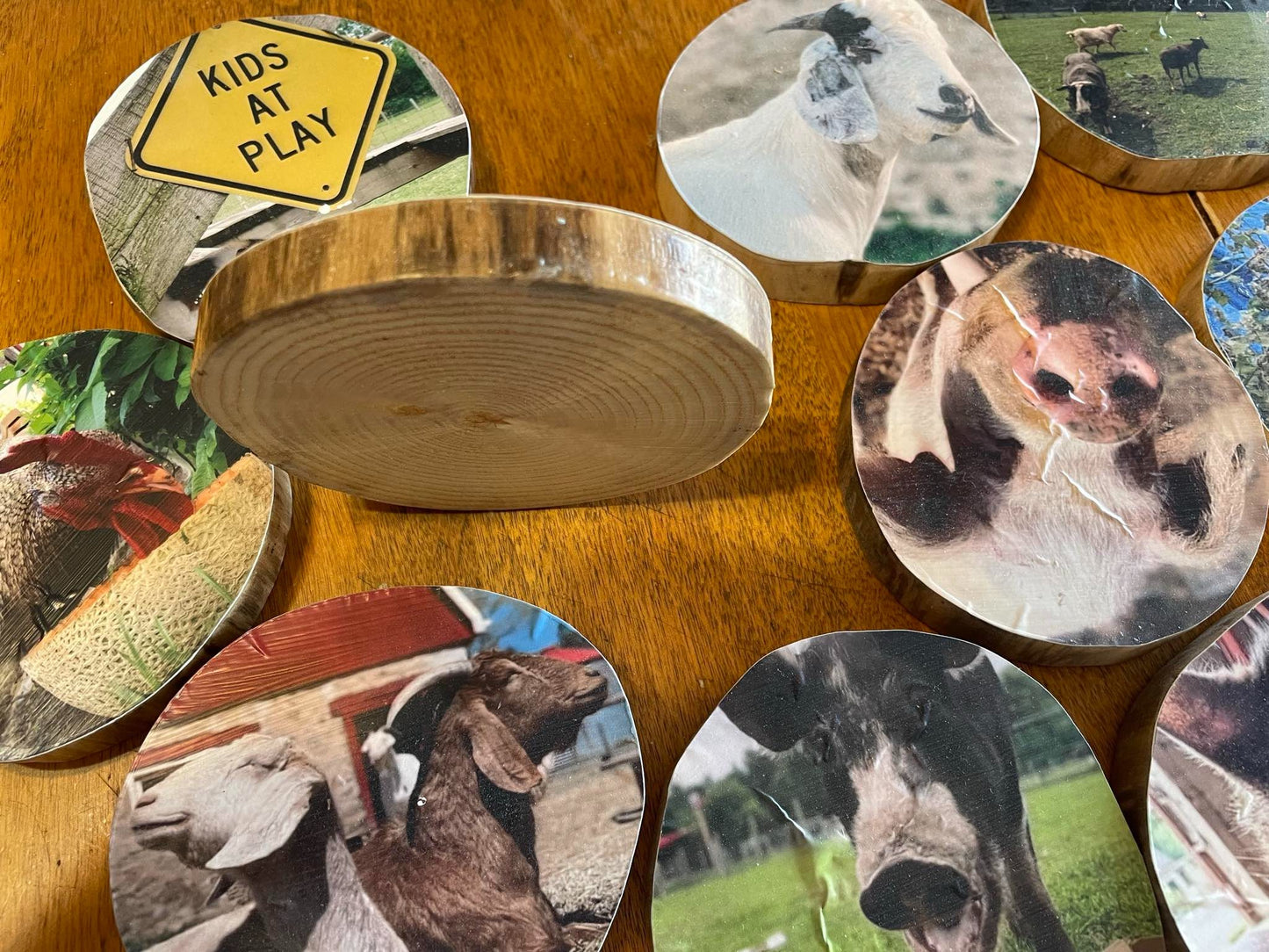 Barnwood coasters