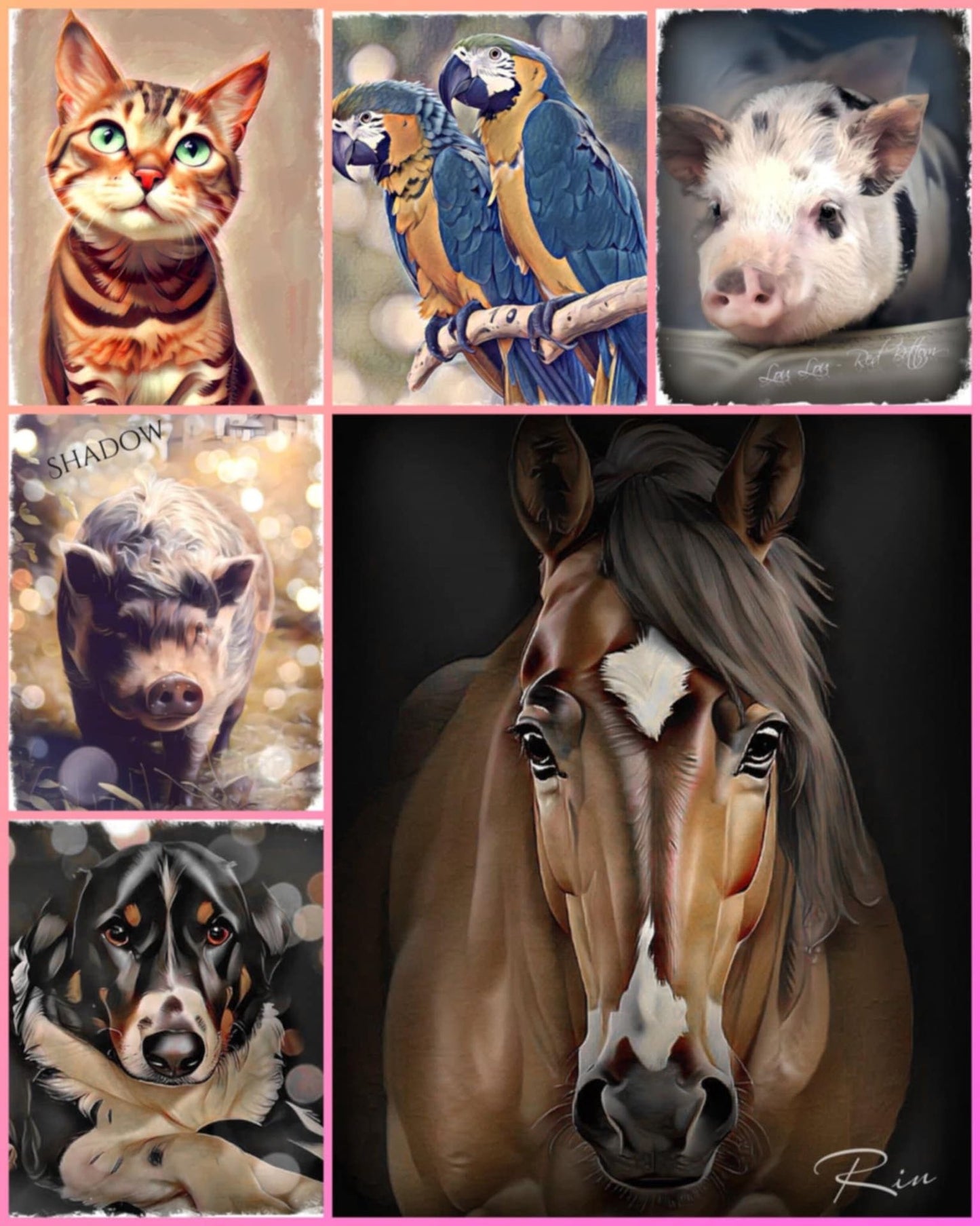 Custom digital portrait (pet)