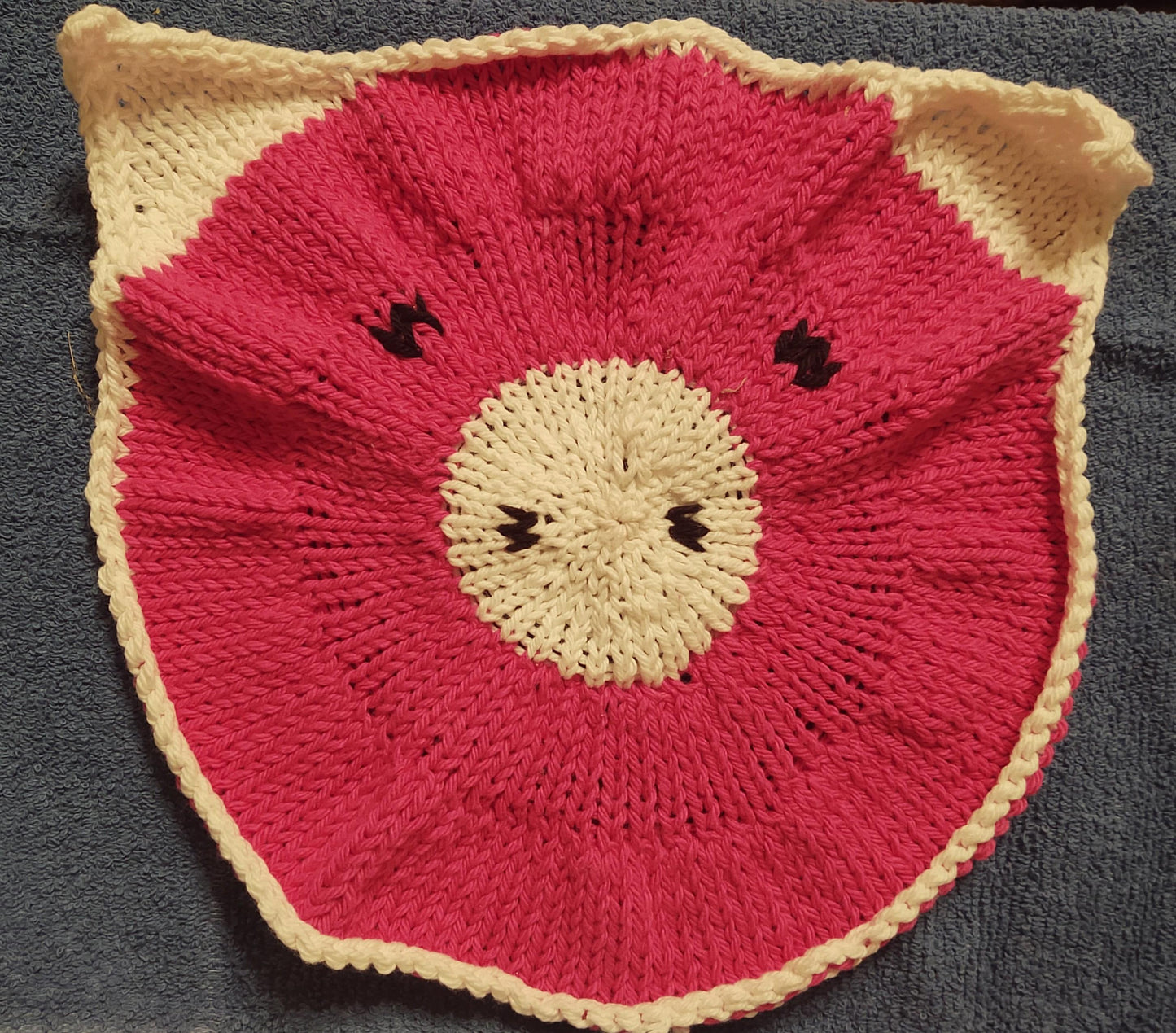 Fun Closing Item #9: Pig Head DIshcloth