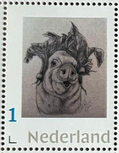 Stamp sheets - Esther w/ beets drawing