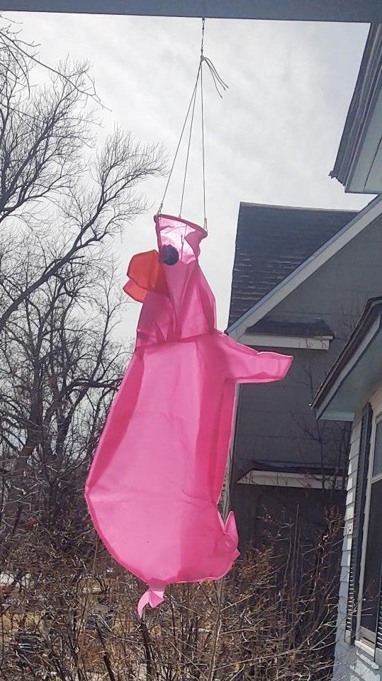 Piggy Windsock