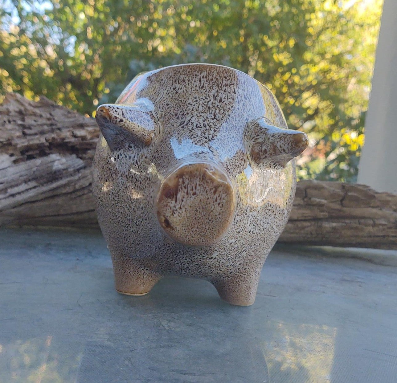 Ceramic Piggy Planter and planter hanger