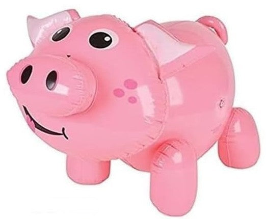 Last Day Fun Item #4 - Inflatable piggy