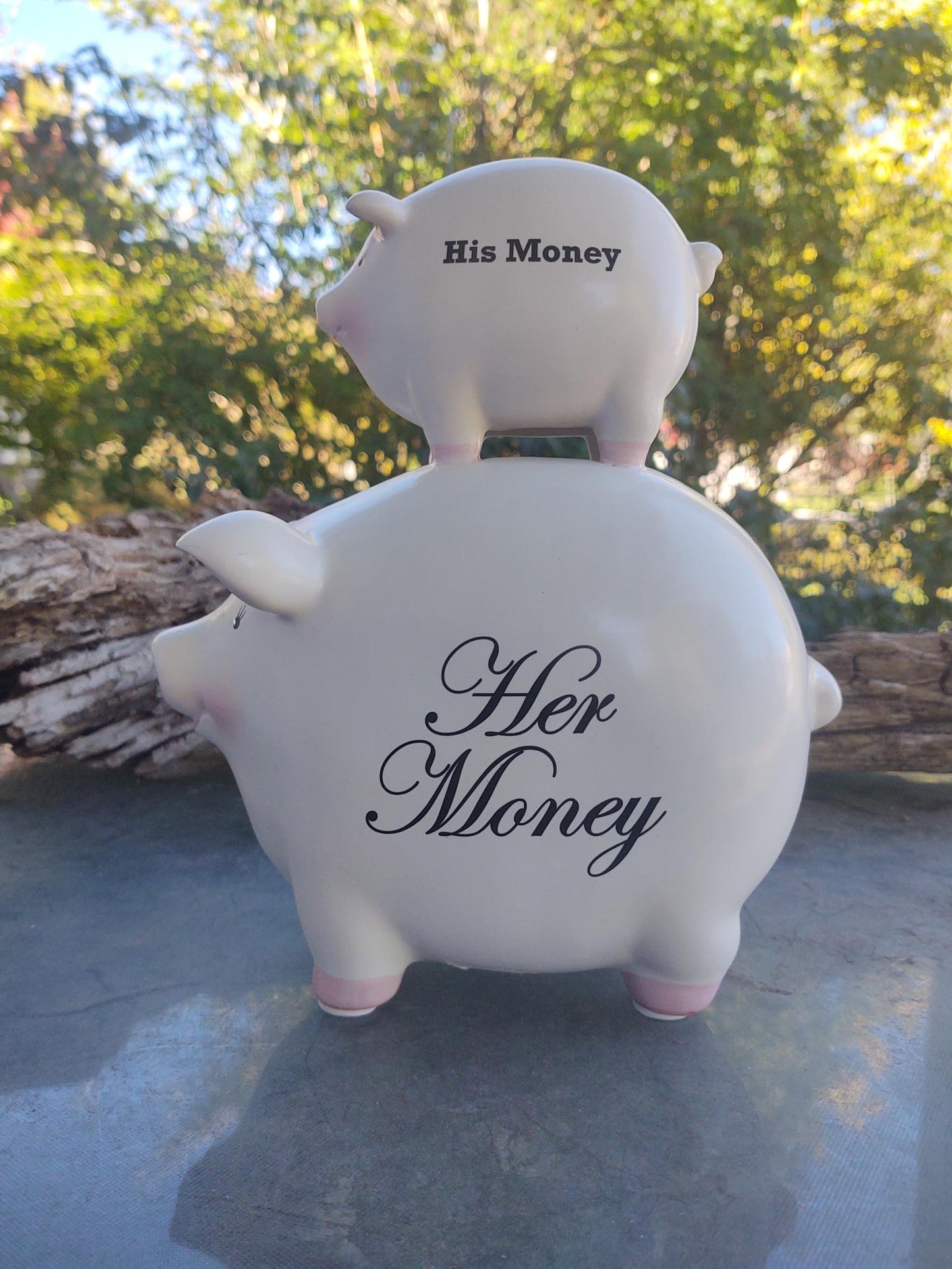 Best piggy bank ever!