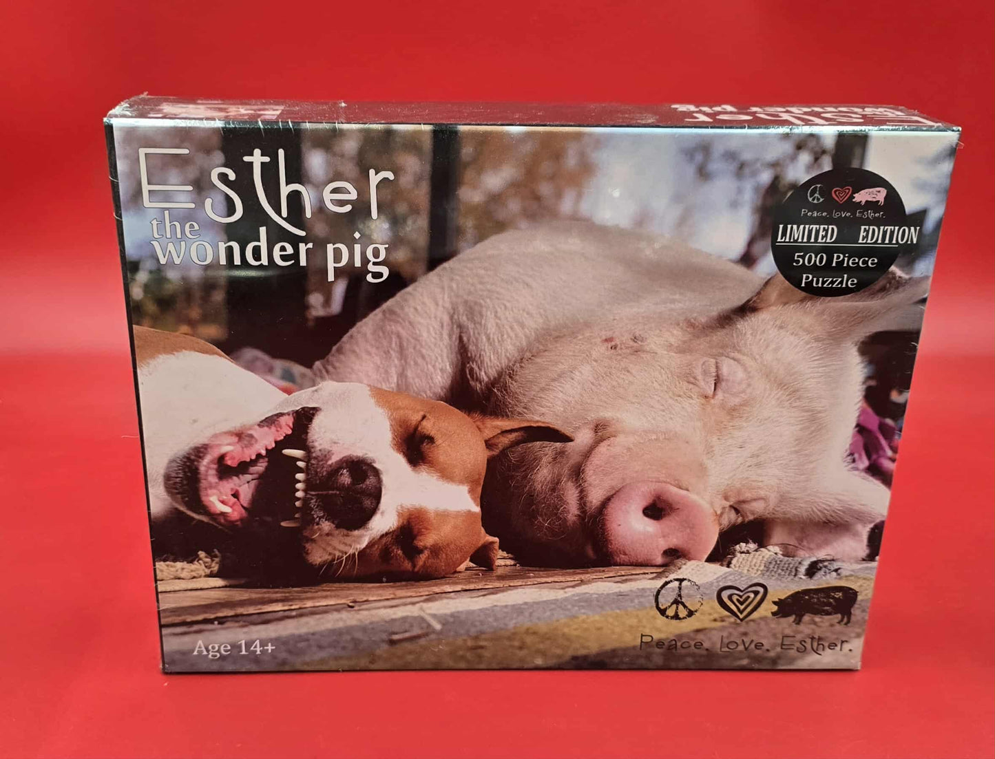 Puzzle of Esther and Phil