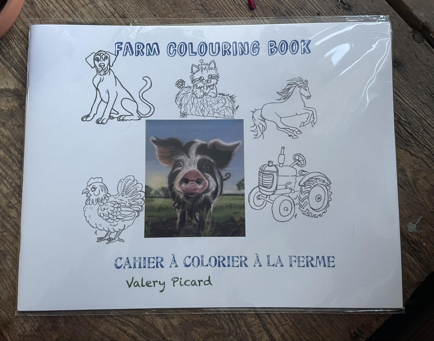 Farm life coloring book
