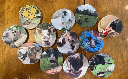 Barnwood coasters