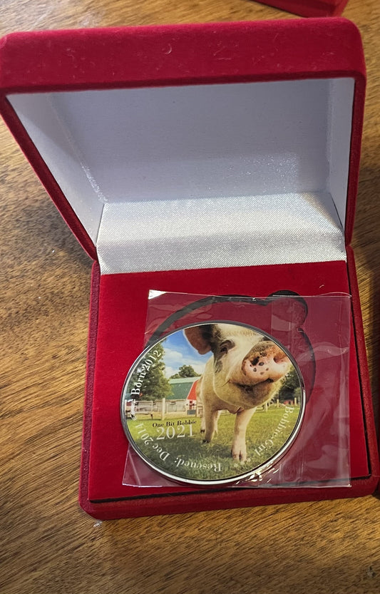 Bobbie Girl coin
