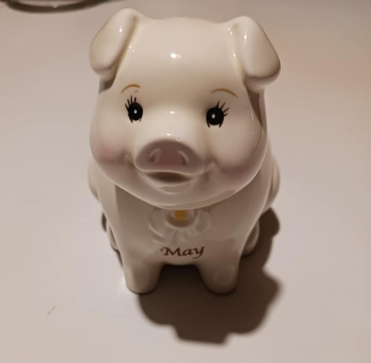 Month of May Piggy Bank