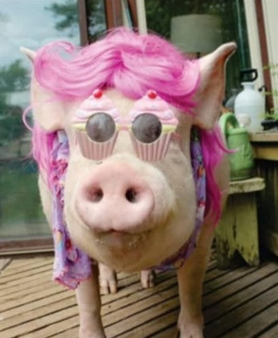 "Fashionista" Esther Necklace with Pendant and Earrings