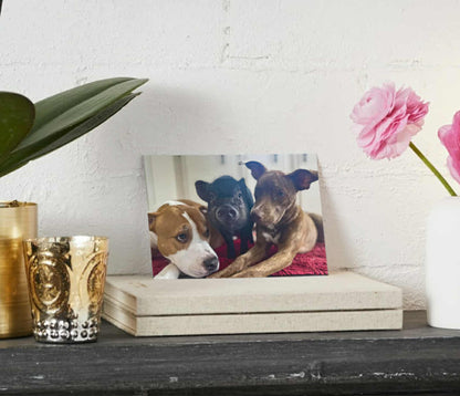 Lighted glass block of Lily, Maddie and Phil