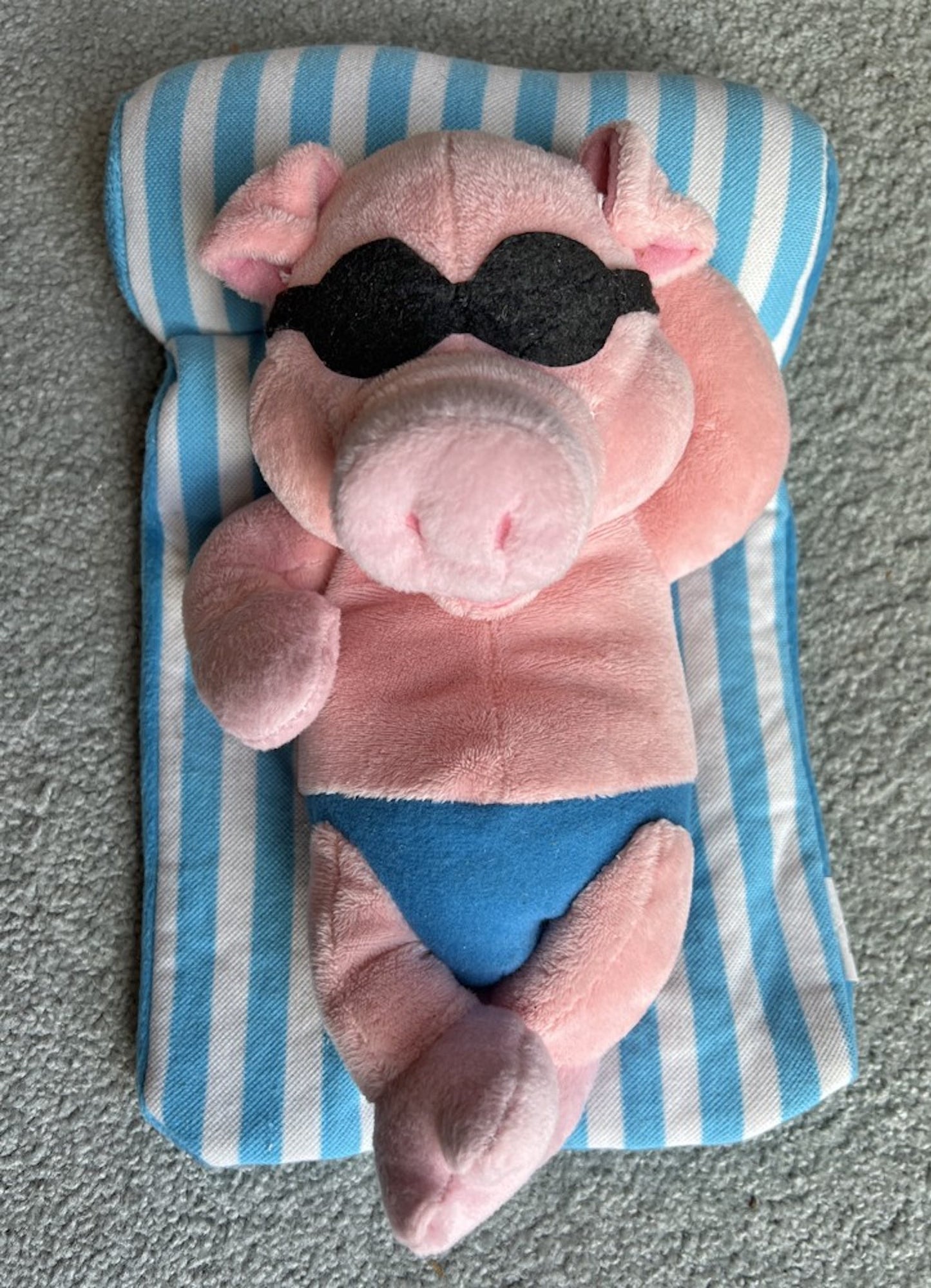 Plush Pig floating on raft (Esther in her Lagoon)