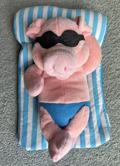 Plush Pig floating on raft (Esther in her Lagoon)