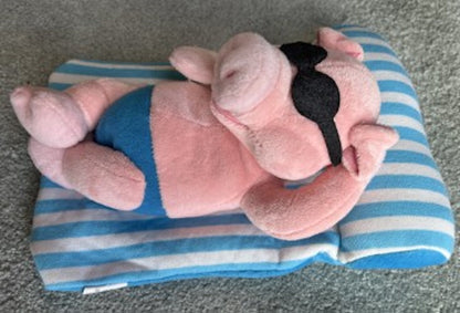 Plush Pig floating on raft (Esther in her Lagoon)