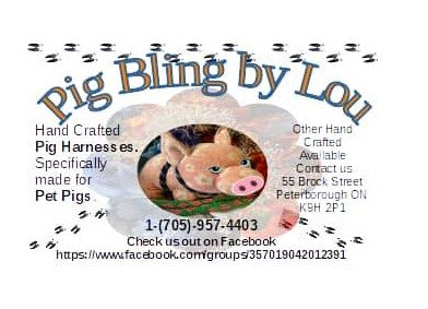 Black beaded pig earrings