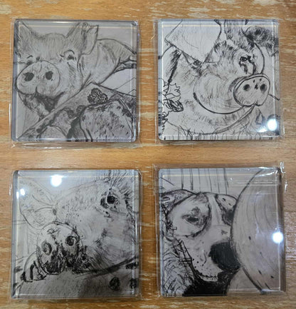 Set of 4 coasters featuring our favorite pigs and one energetic dog.