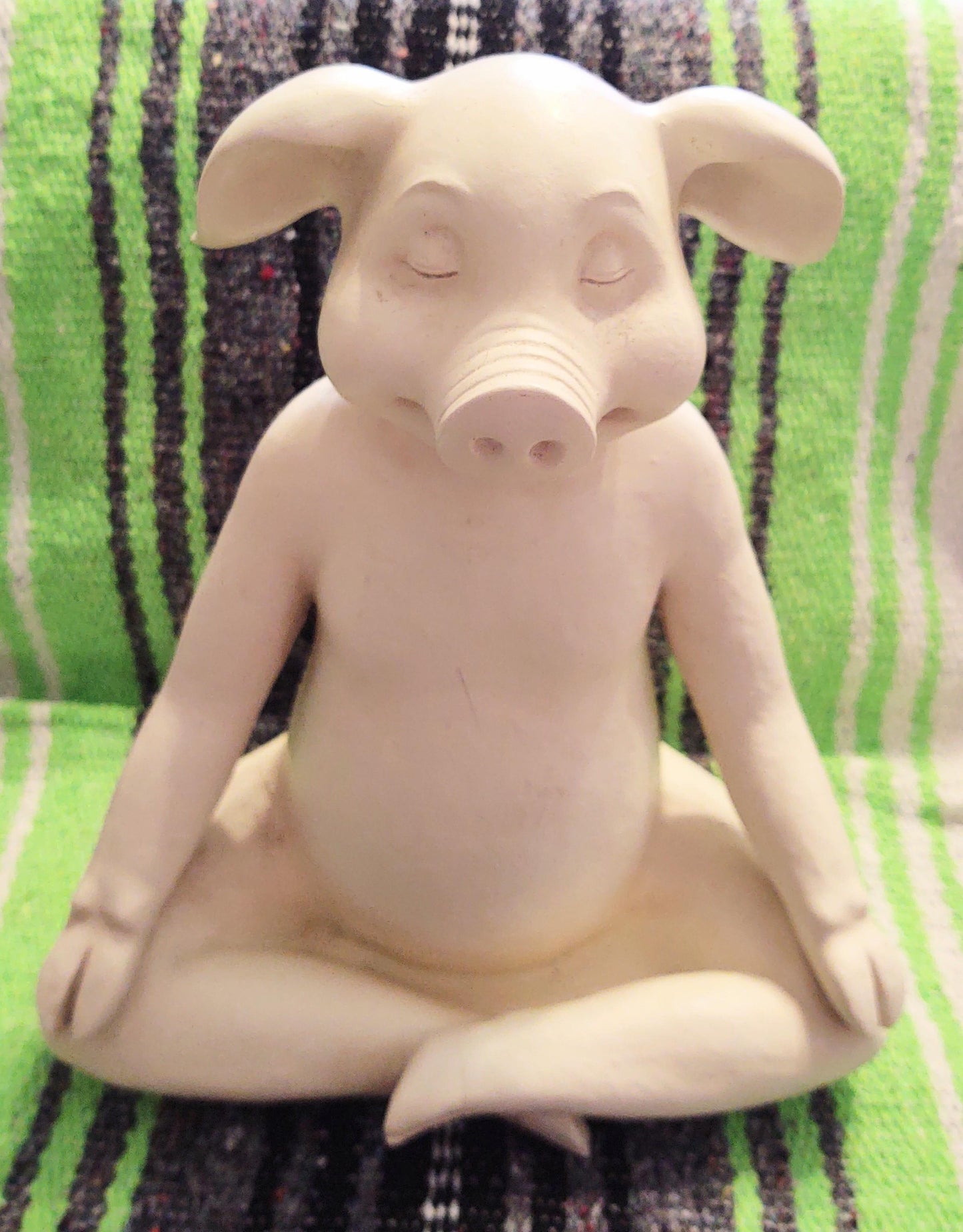 Zen Pig