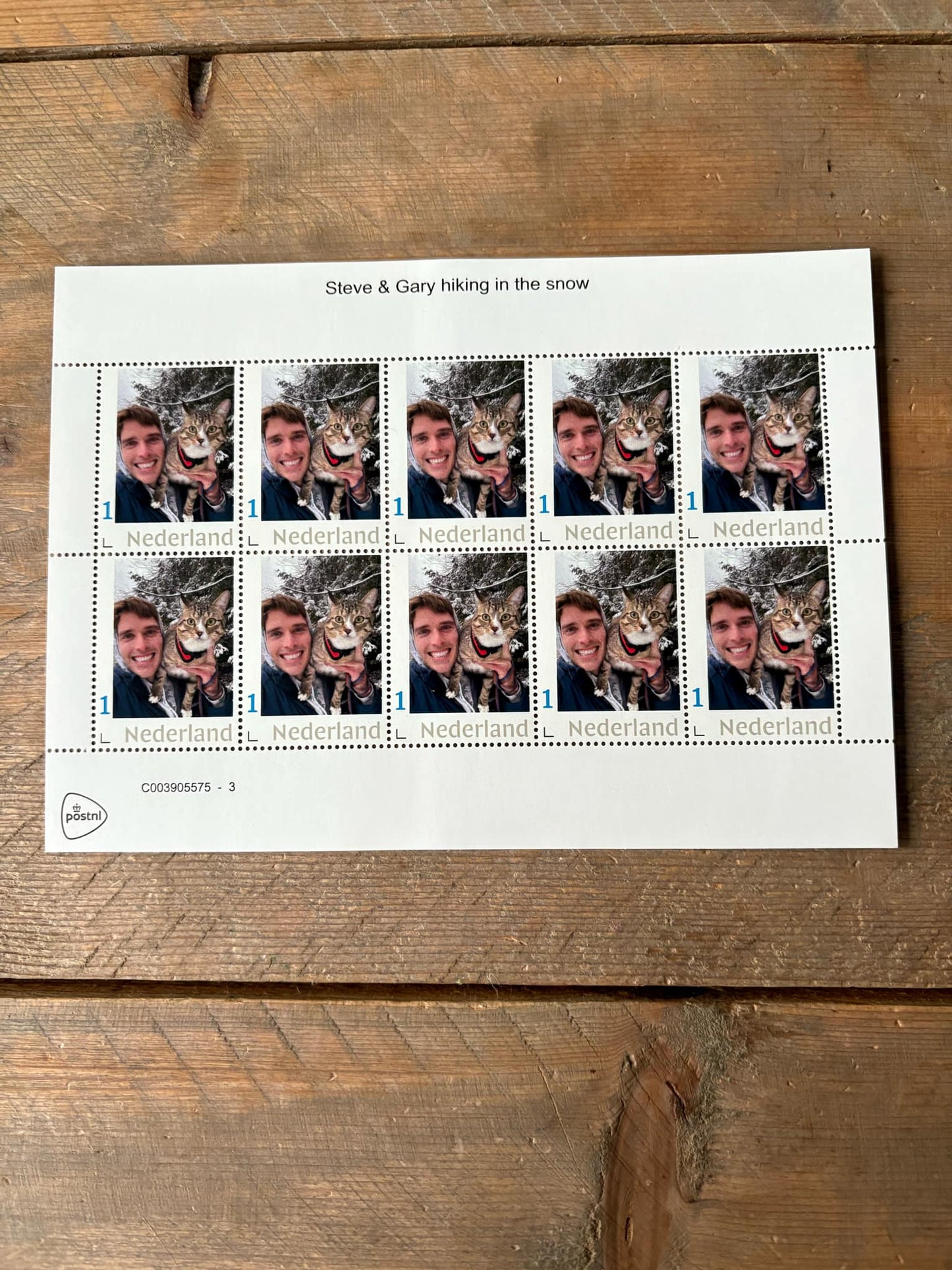 Stamp sheets - Steve & Gary