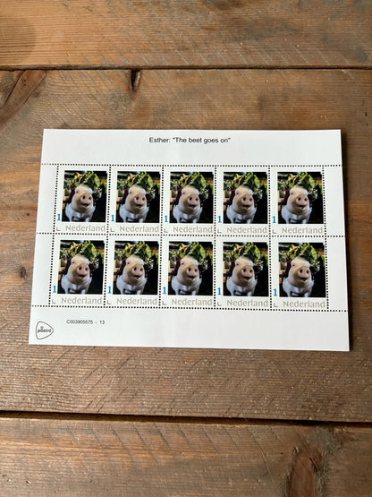 Stamp sheets  - Esther w/ beets photo