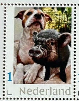 Stamp sheets - Phil and Maddie