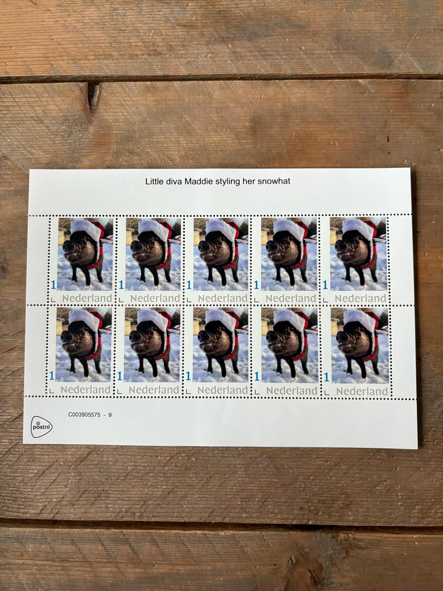 Stamp sheets - Maddie in Santa Hat