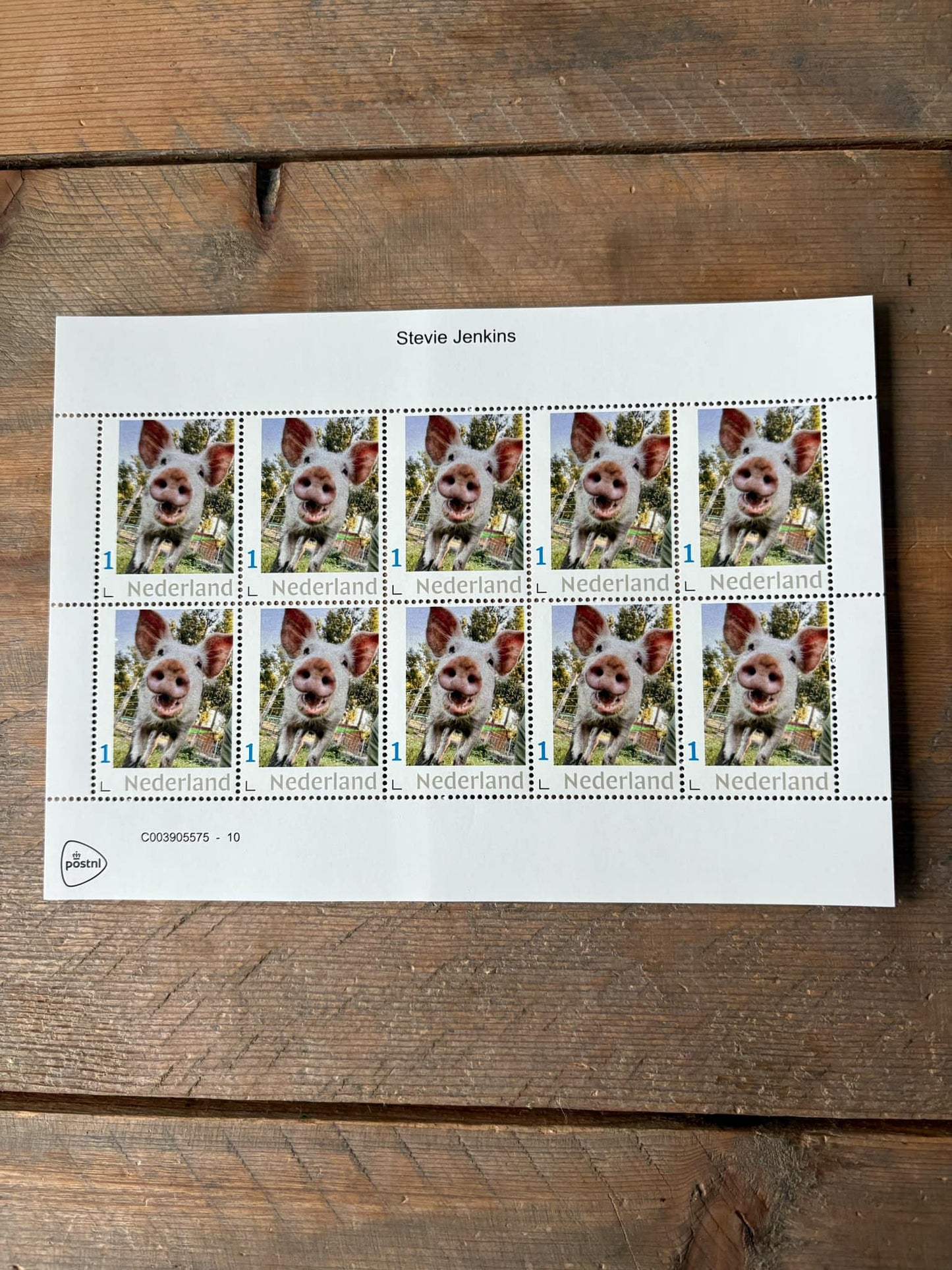 Stamp sheets - Stevie