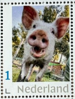 Stamp sheets - Stevie