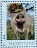 Stamp sheet - Esther and her pigtastic bonnet