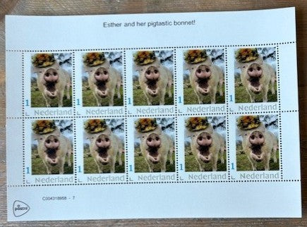 Stamp sheet - Esther and her pigtastic bonnet