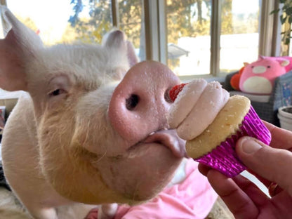 Two ceramic cupcake candles from HomeWorx by Slatkin + Co.