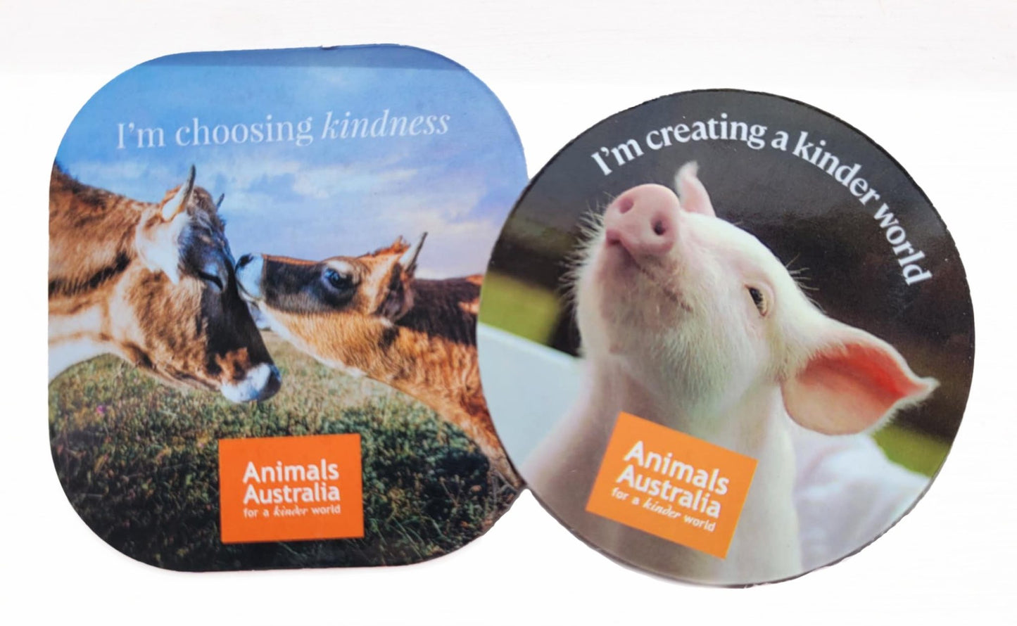 Plush pig from Animals Australia