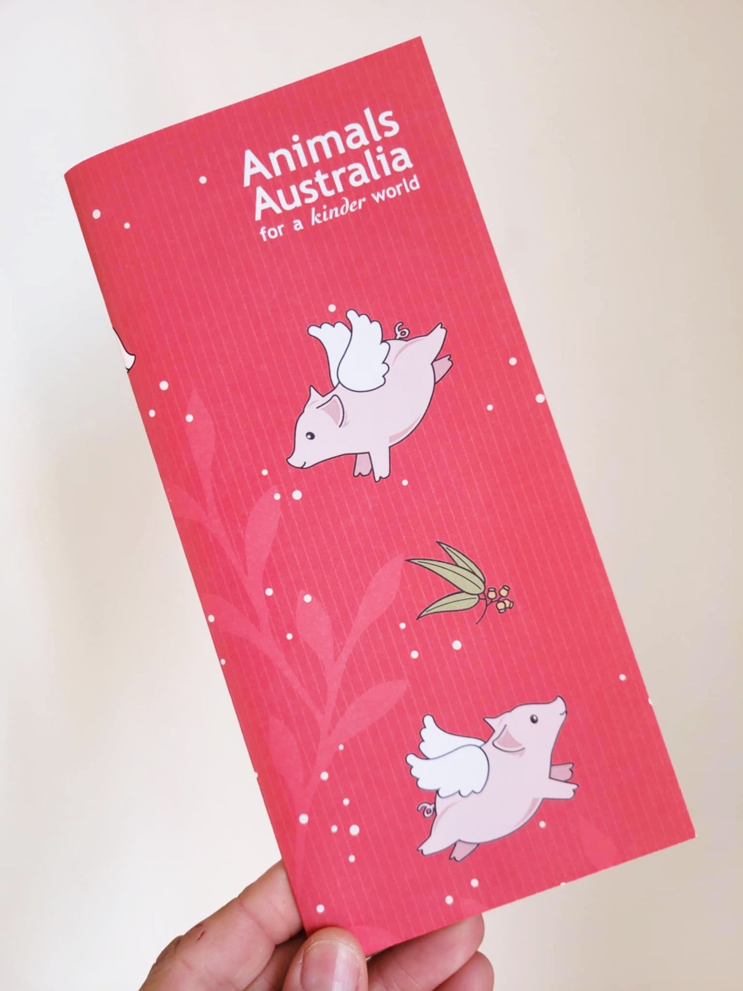 Plush pig from Animals Australia