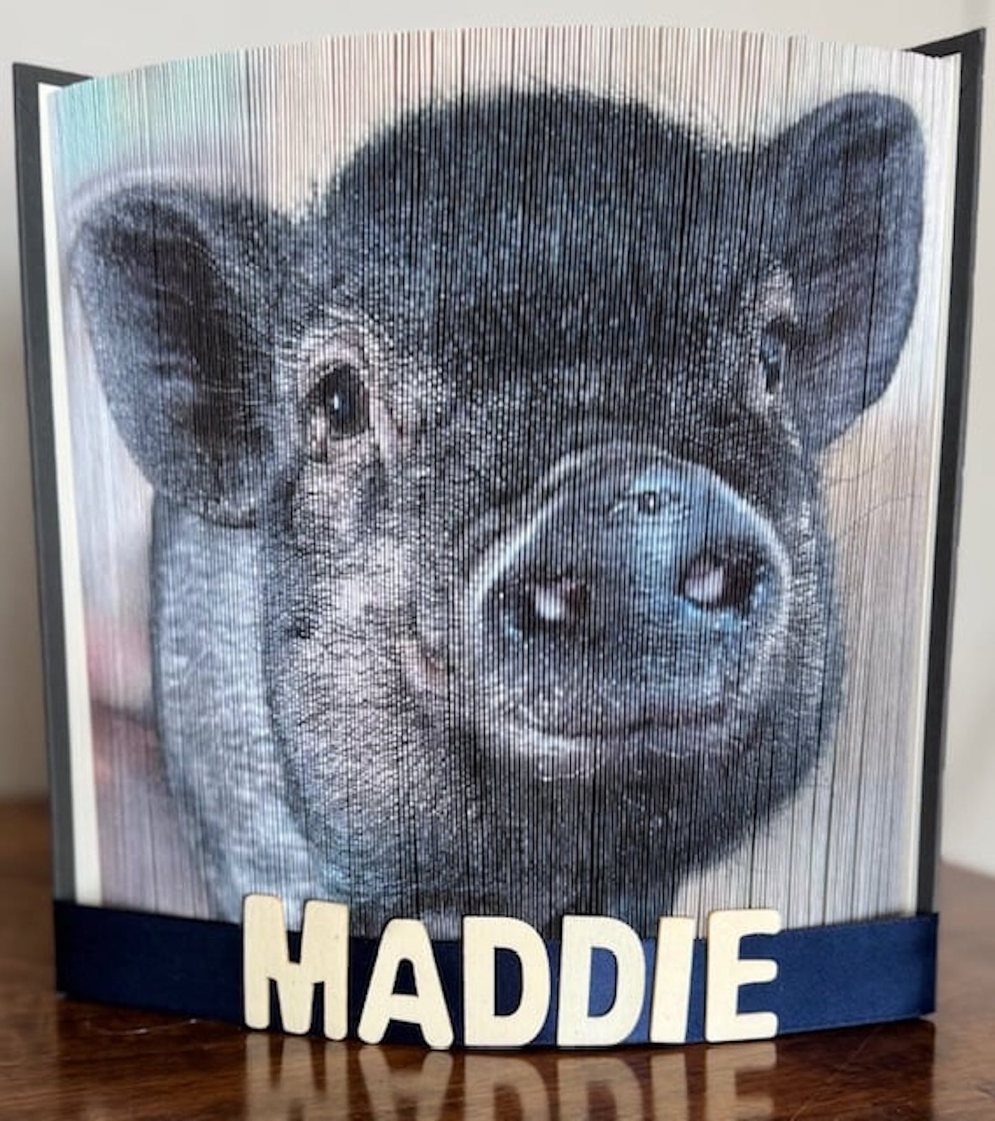 Photo edge book of Maddie