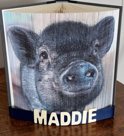 Photo edge book of Maddie