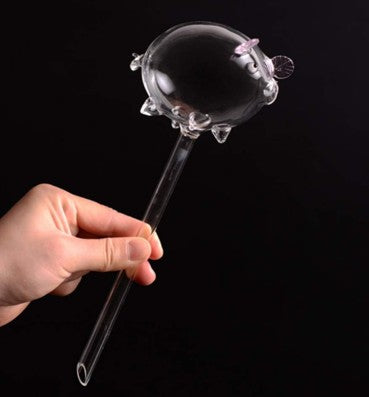Glass piggy watering bulb
