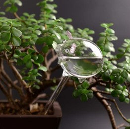 Glass piggy watering bulb