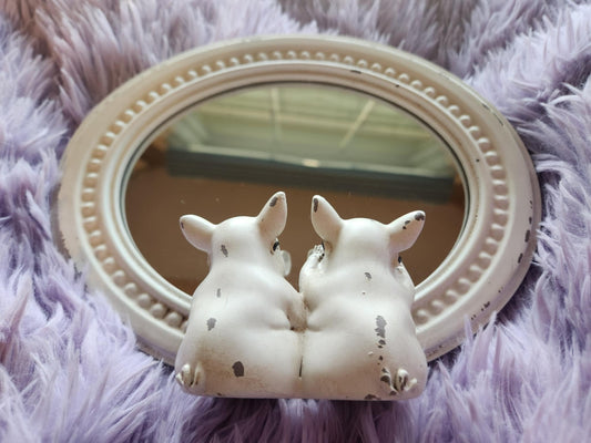 Pigs with glasses mirror
