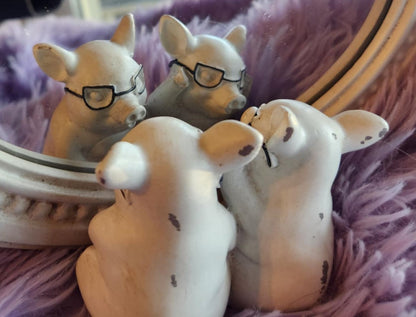 Pigs with glasses mirror