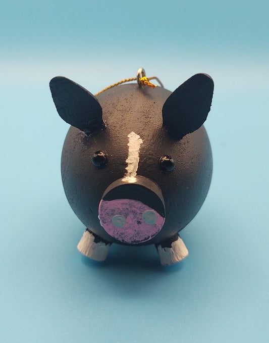 Jake ornament