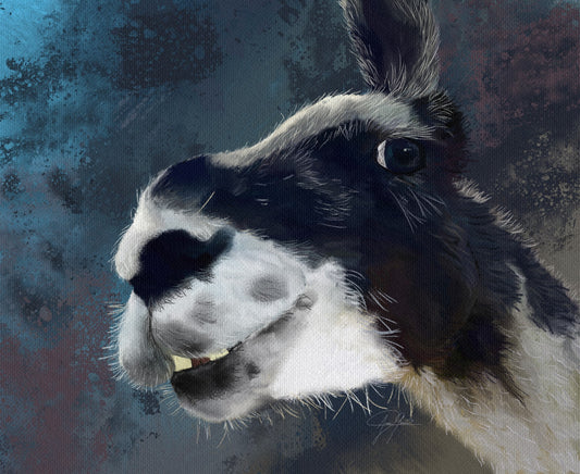 Framed print of digital painting of Llama del Rey by Ana Garcia