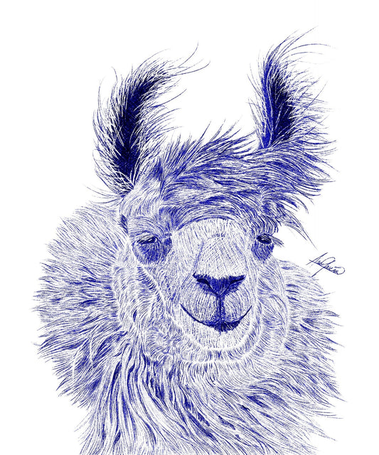 Framed print of digital line artwork of a llama